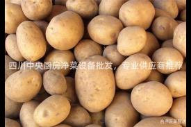 四川中央厨房净菜设备批发，专业供应商推荐