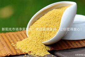 新阳光市场净菜批发，优质蔬菜直供，让你吃得放心！