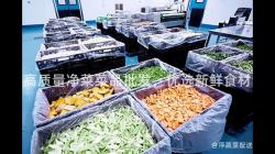 高质量净菜菜品批发，优选新鲜食材