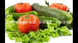 江苏南通净菜籽批发，新鲜优质，价格实惠！