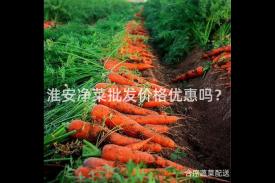 淮安净菜批发价格优惠吗？