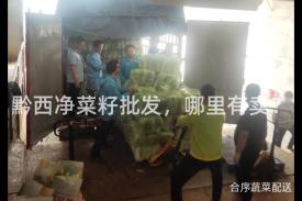 黔西净菜籽批发，哪里有卖？