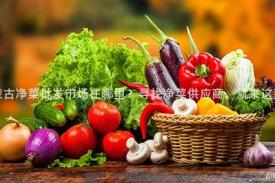 内蒙古净菜批发市场在哪里？寻找净菜供应商，就来这里！