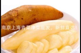 南京上海青菜净菜批发，新鲜直达！