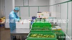 请问哪里有去皮净菜批发厂家地址？