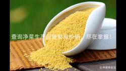 查询净菜生产设备批发价格，尽在掌握！