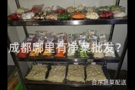 成都哪里有净菜批发？
