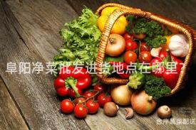 阜阳净菜批发进货地点在哪里？