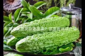 阜阳净菜批发在哪里卖？这里有详细介绍！