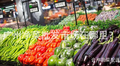 广州净菜批发市场在哪里？