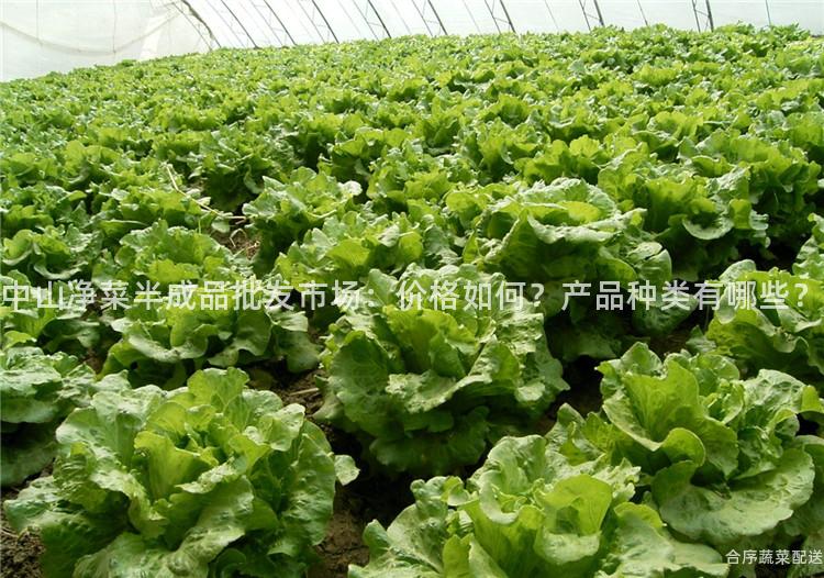中山净菜半成品批发市场：价格如何？产品种类有哪些？