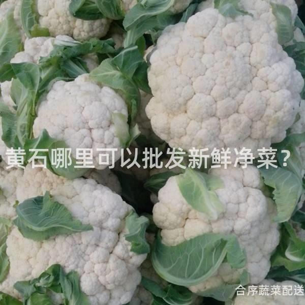 黄石哪里可以批发新鲜净菜？