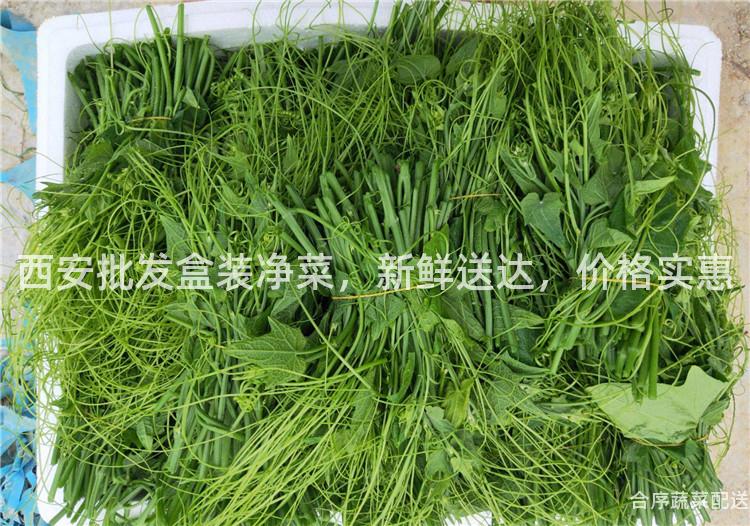 西安批发盒装净菜，新鲜送达，价格实惠