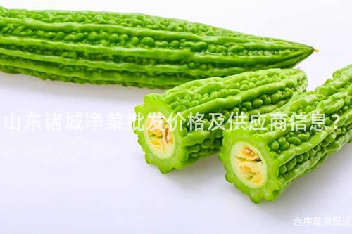 山东诸城净菜批发价格及供应商信息？