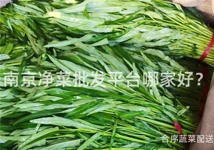 南京净菜批发平台哪家好？