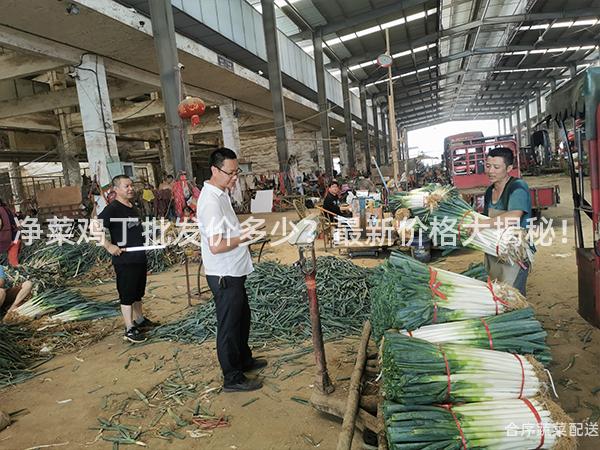 净菜鸡丁批发价多少？最新价格大揭秘！