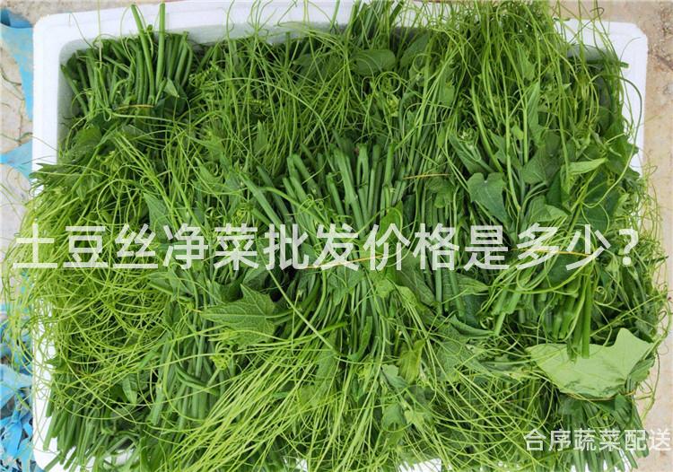 土豆丝净菜批发价格是多少？
