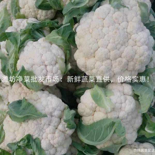 潍坊净菜批发市场：新鲜蔬菜直供，价格实惠！