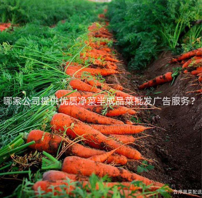 哪家公司提供优质净菜半成品菜批发广告服务？
