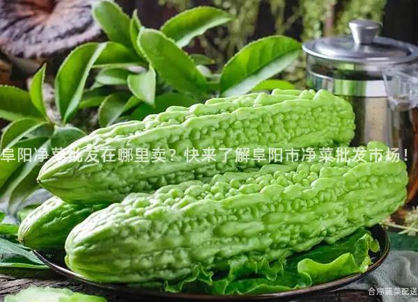 阜阳净菜批发在哪里卖？快来了解阜阳市净菜批发市场！