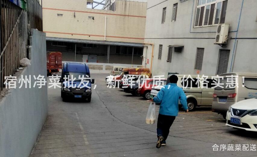 宿州净菜批发，新鲜优质，价格实惠！