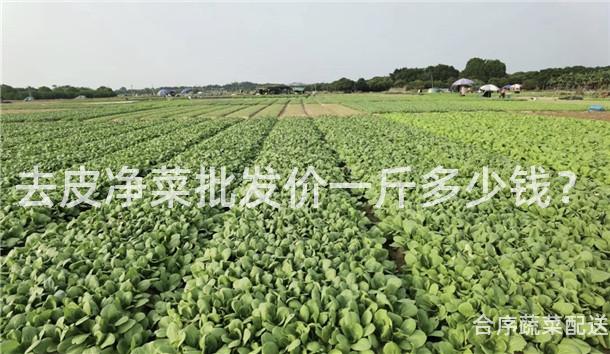 去皮净菜批发价一斤多少钱？