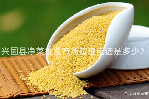 兴国县净菜批发市场管理电话是多少？