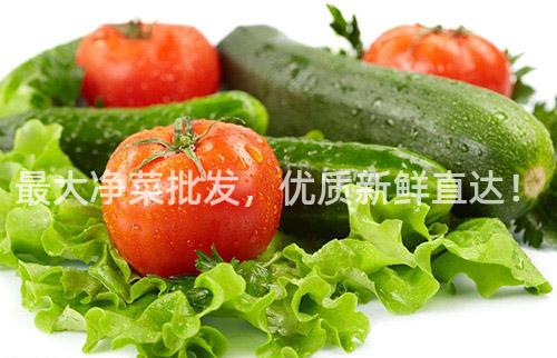 最大净菜批发，优质新鲜直达！