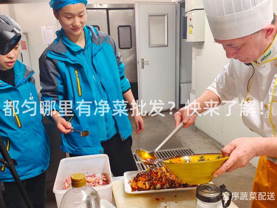 都匀哪里有净菜批发？快来了解！