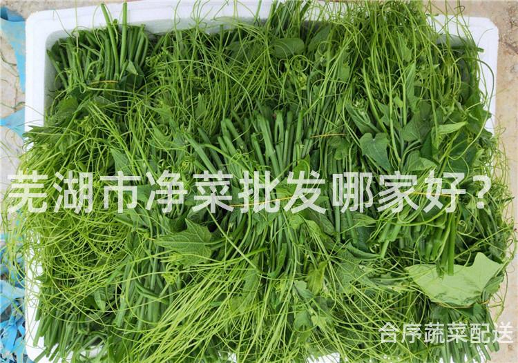 芜湖市净菜批发哪家好？