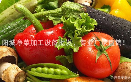 阳城净菜加工设备批发，专业厂家直销！