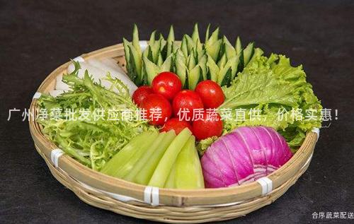 广州净菜批发供应商推荐，优质蔬菜直供，价格实惠！