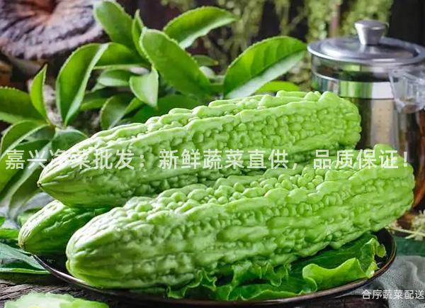 嘉兴净菜批发：新鲜蔬菜直供，品质保证！