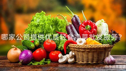 哪家公司提供优质轻食净菜批发服务？