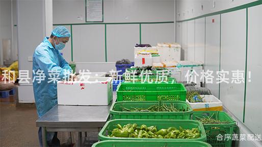 和县净菜批发：新鲜优质，价格实惠！
