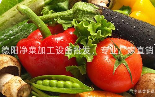 德阳净菜加工设备批发，专业厂家直销