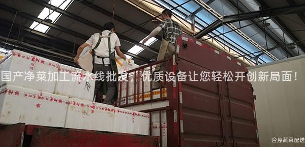 国产净菜加工流水线批发，优质设备让您轻松开创新局面！