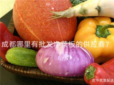 成都哪里有批发净菜板的供应商？