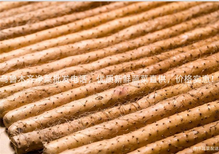 乌鲁木齐净菜批发电话，优质新鲜蔬菜直供，价格实惠！