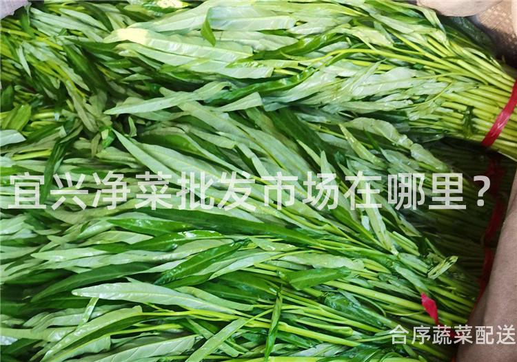 宜兴净菜批发市场在哪里？