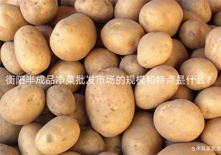 衡阳半成品净菜批发市场的规模和特点是什么？