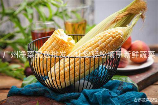 广州净菜配送批发，让您轻松畅享新鲜蔬菜