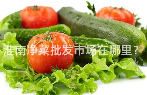 淮南净菜批发市场在哪里？