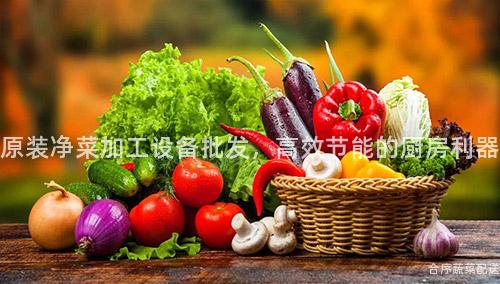 原装净菜加工设备批发，高效节能的厨房利器