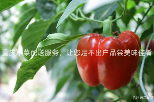 重庆净菜配送服务，让您足不出户品尝美味佳肴