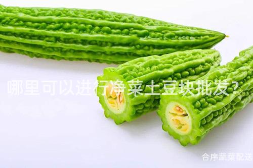 哪里可以进行净菜土豆块批发？