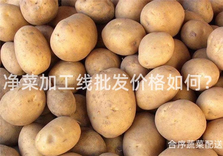 净菜加工线批发价格如何？