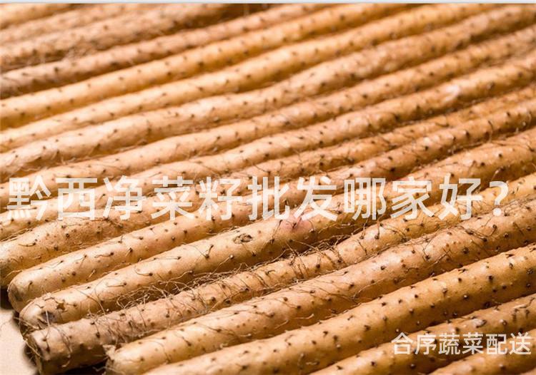 黔西净菜籽批发哪家好？