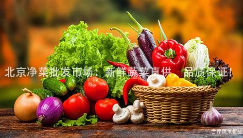 北京净菜批发市场：新鲜蔬菜直供，品质保证！