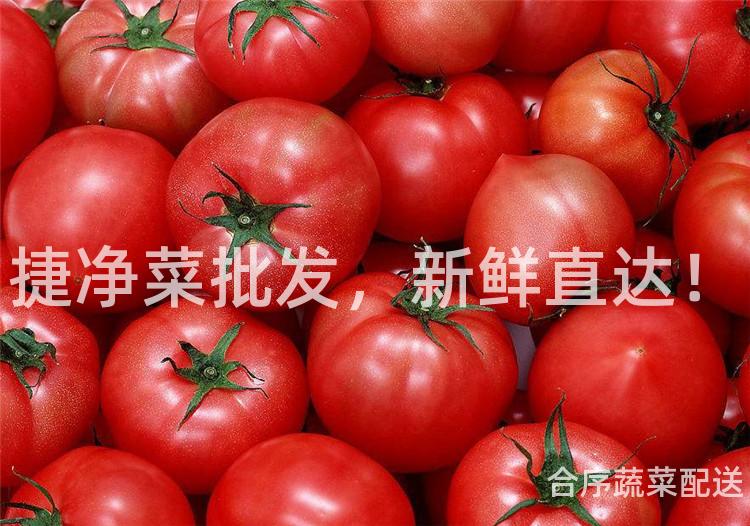 捷净菜批发，新鲜直达！
